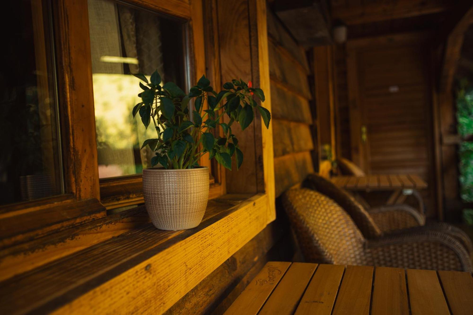 Grab Ethno Village And Camp Scepan-Polje Экстерьер фото