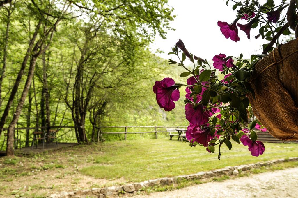 Grab Ethno Village And Camp Scepan-Polje Экстерьер фото